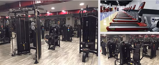 Prensa deportiva comercial PRO inclinación plana ejercicio ajustable mancuerna banco de gimnasio